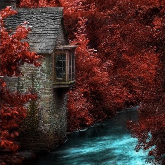 Meet your Posher, Tracy - Picture 8 of 8